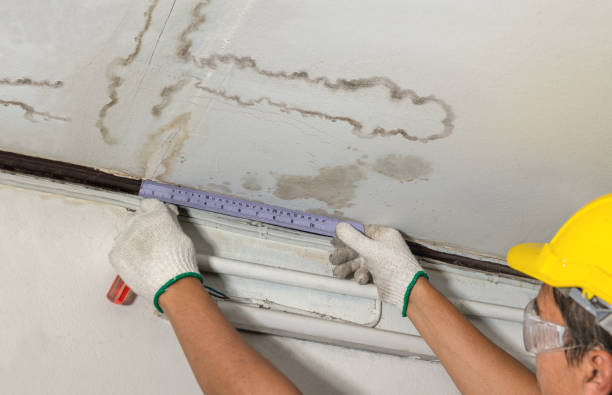 24/7 Emergency Flood Damage Cleanup experts in Forestville, OH