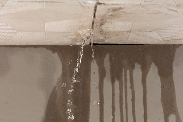 Professional Flood Damage Cleanup technician working in Forestville, OH